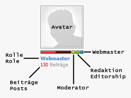 Der neue Avatar